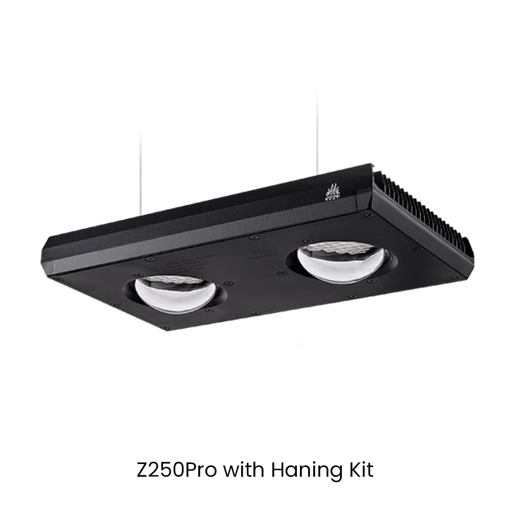 Aqua Marine Tank - Week AQUA Z250/Z400 Sea LED Reef