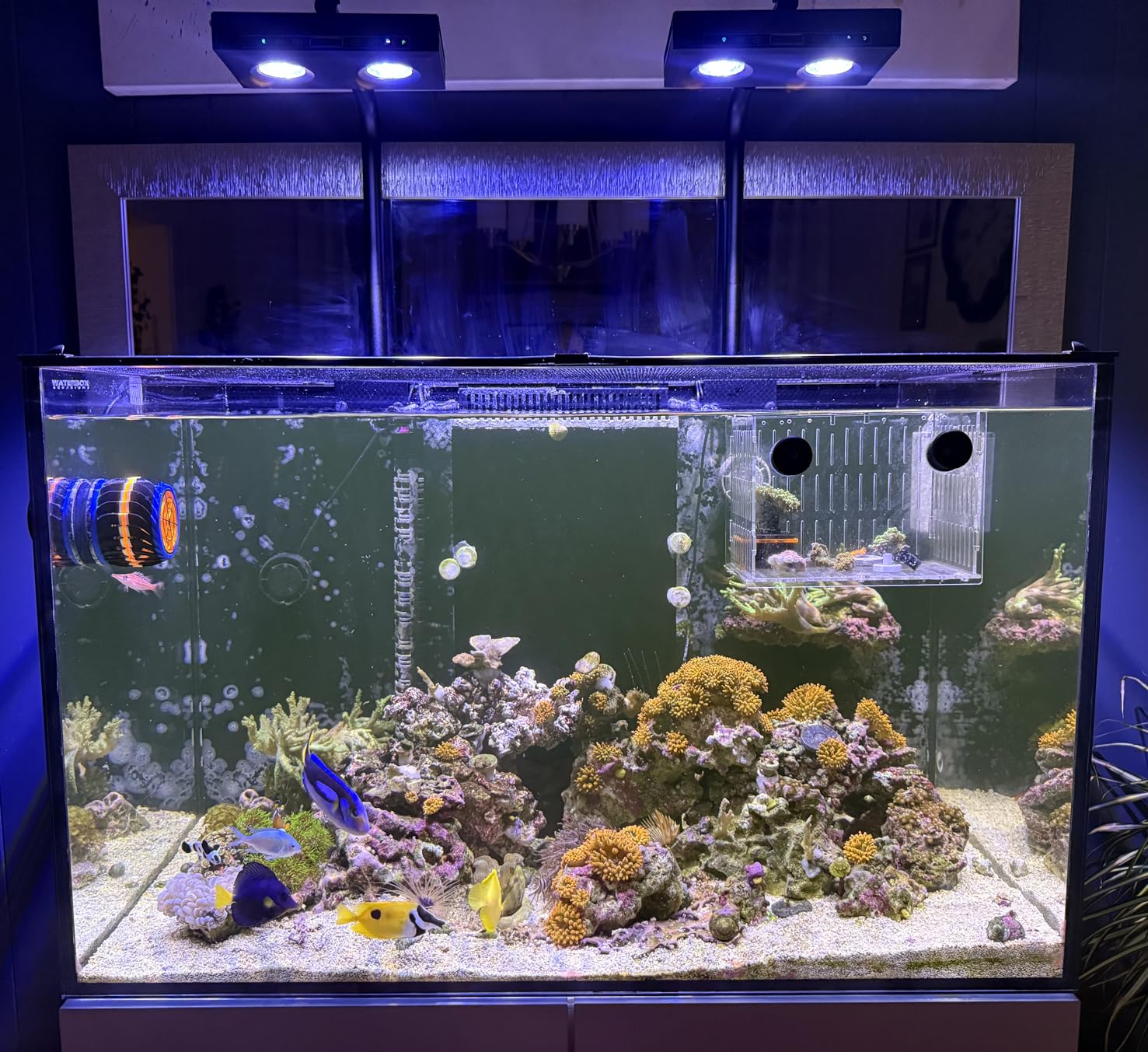 Aqua Marine Tank - Wysokiej Mocy DIY Spektrum 90W G5