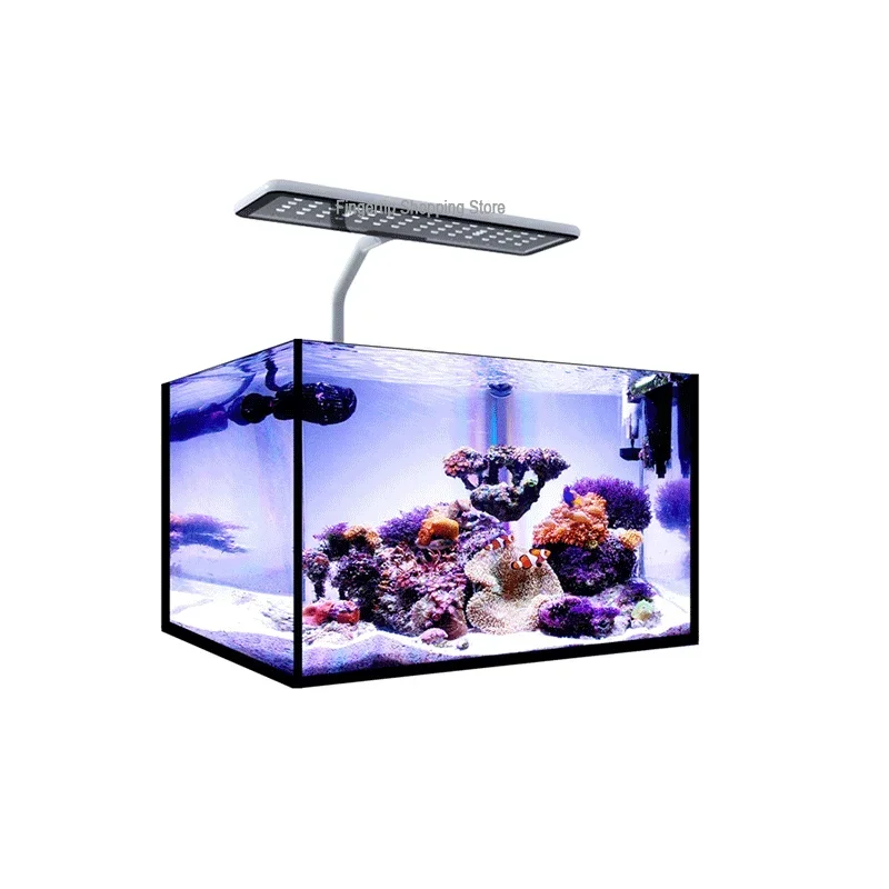 MicMol G2 Aqua CC Rozpakowywan – Aqua Marine Tank recenzja i cena
