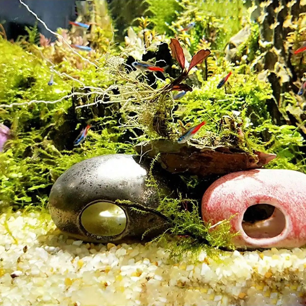 1szt-250g Naturalne kryształy  – Aquarium Marine Sand recenzja i cena