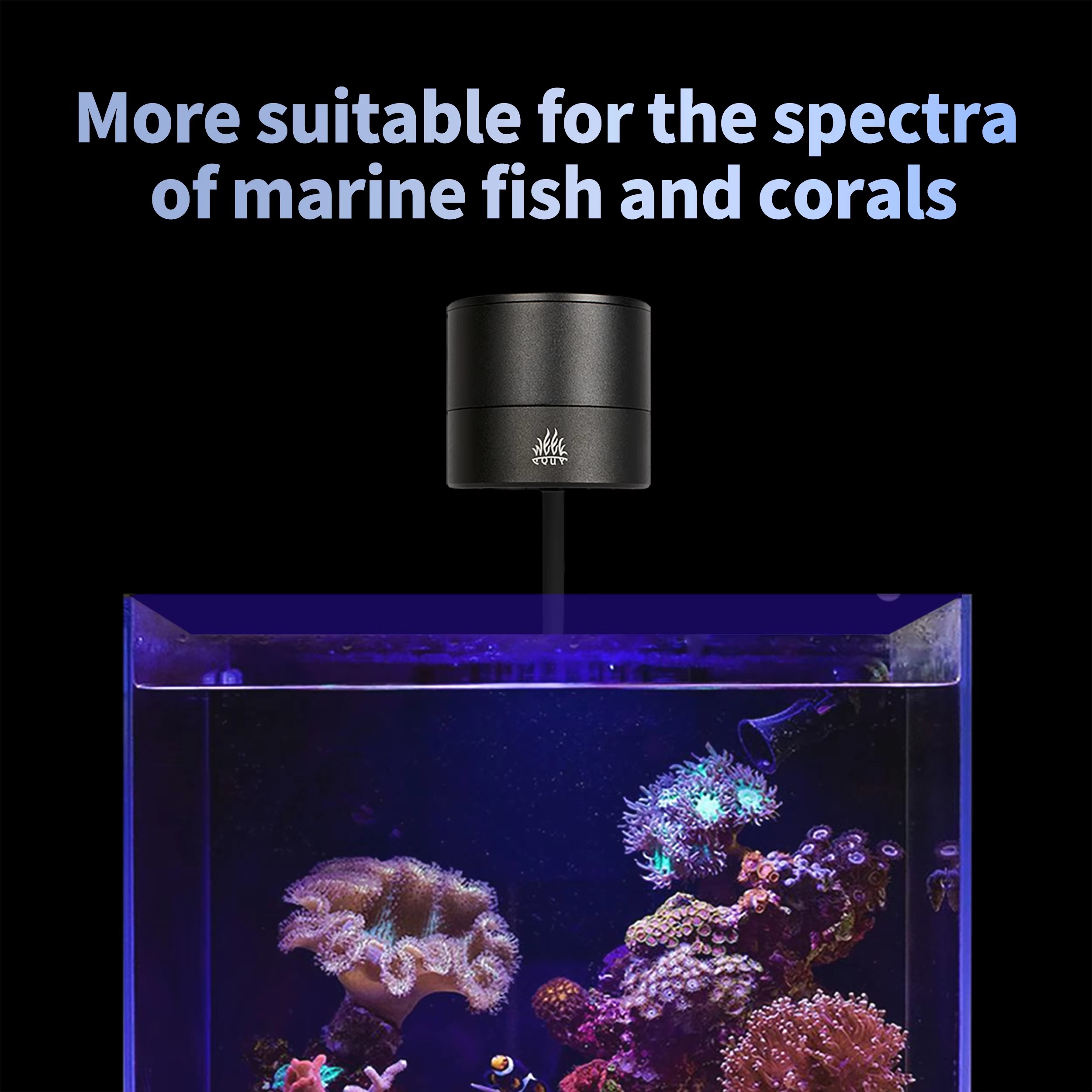 WEEK AQUA Producenty oświetlen – Aqua Marine Tank recenzja i cena