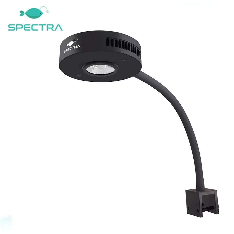 Spectra Aqua Knight V2 36W Peł – Aqua Marine Tank recenzja i cena