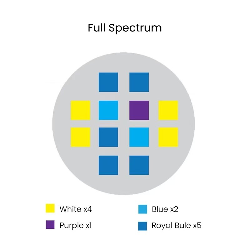 Spectra Aqua Knight V2 36W Peł – Aqua Marine Tank recenzja i cena