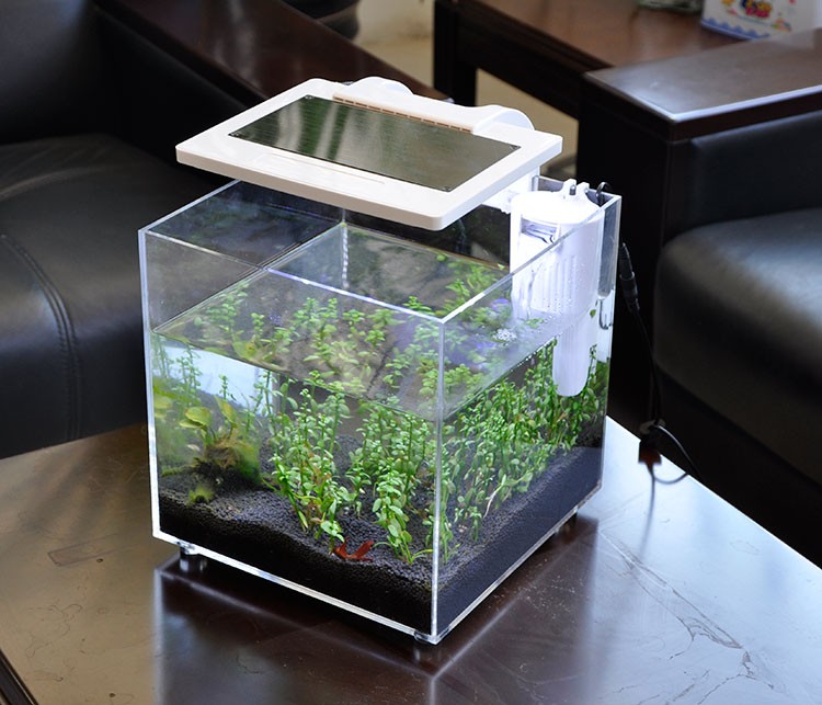 Mini Akrylowe Akwarium (25*25* – Aquarium Marina recenzja i cena