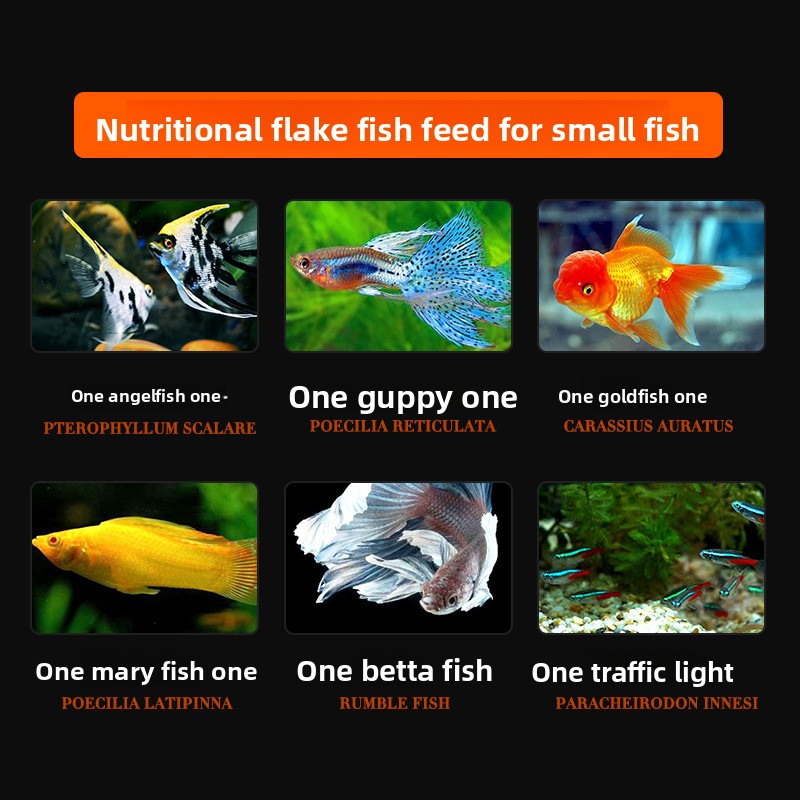 DaJiaWa Spirulina Flake Karmie – Tetra Food Goldfish Flakes recenzja i cena