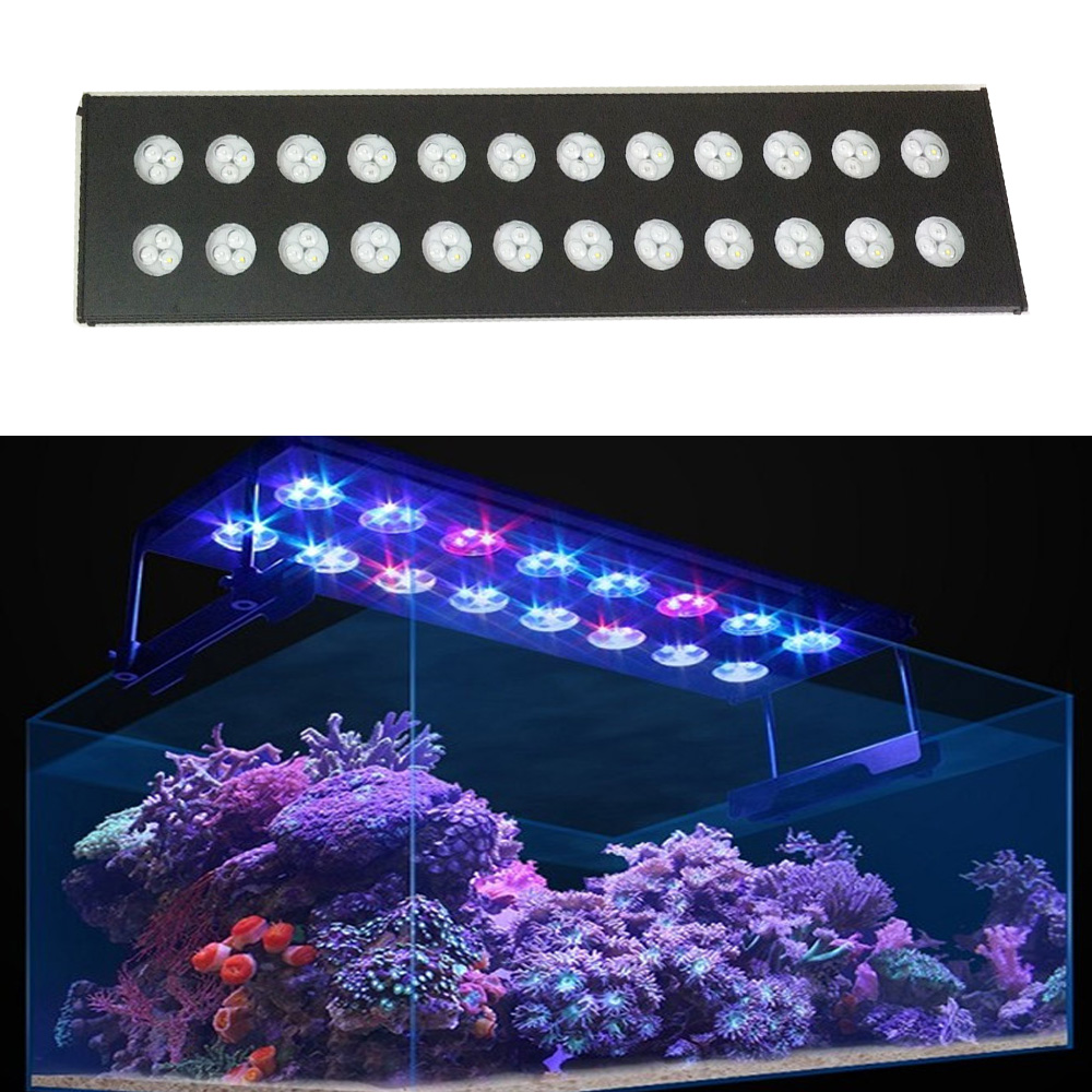 Spectra Aqua Helios WiFi Progr – Aqua Marine Tank recenzja i cena
