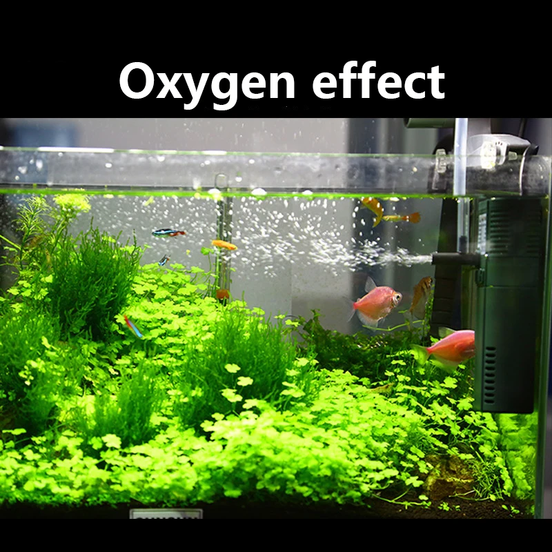 SUNSUN mini nano 111B 311B 611 – Marine Aquarium Protein Skimmer recenzja i cena
